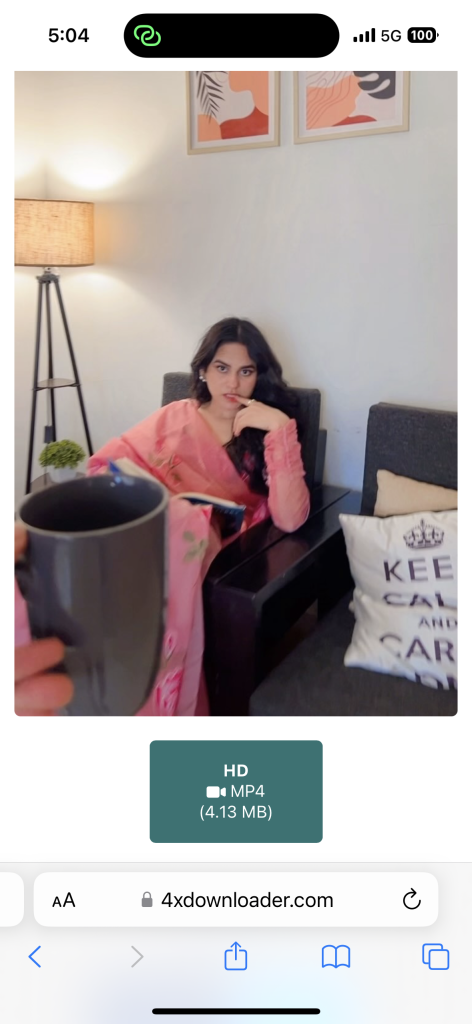 Instagram Video Downloader