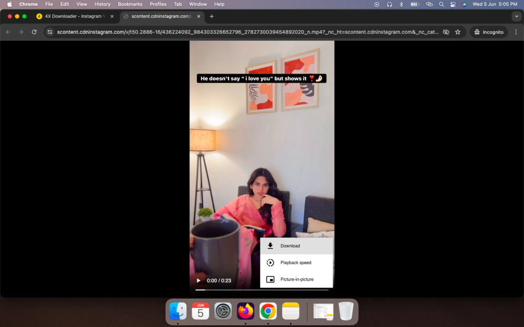 Instagram Video Downloader